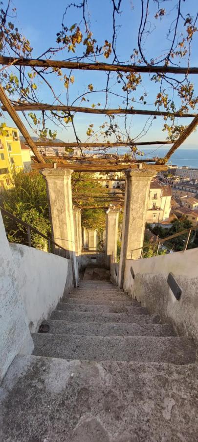 Luxury Vittoria